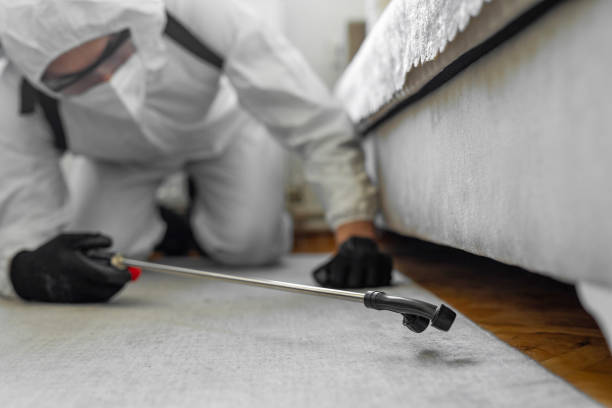 Professional Cockroach Control technician working in South Blooming Grove, NY